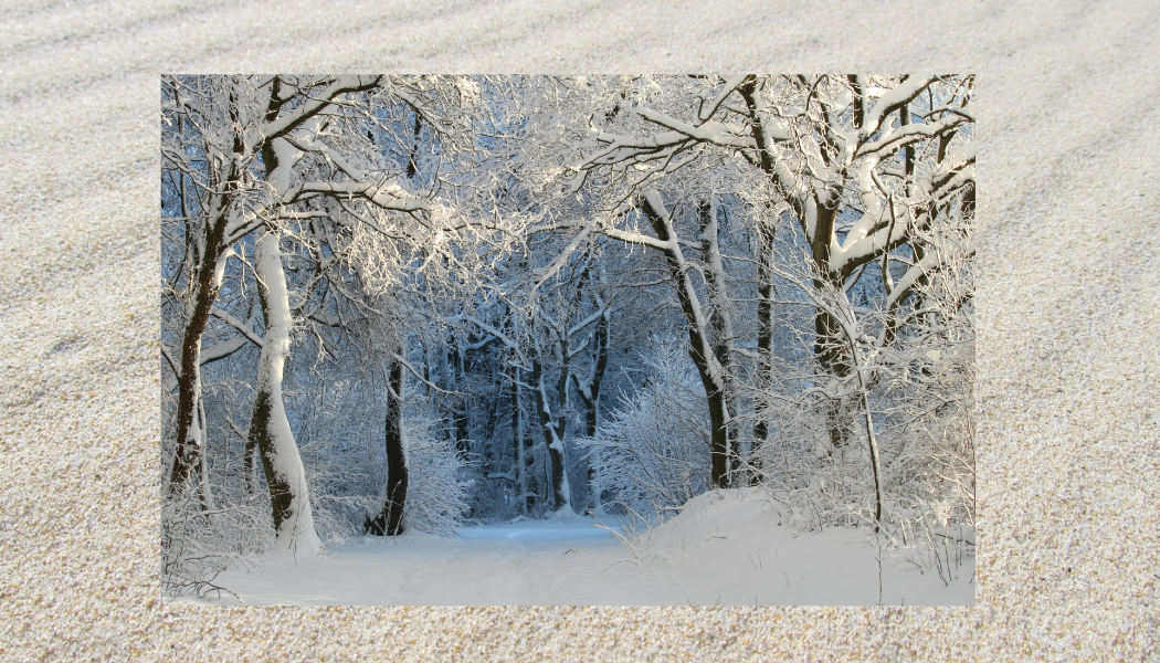 Wintercollectie