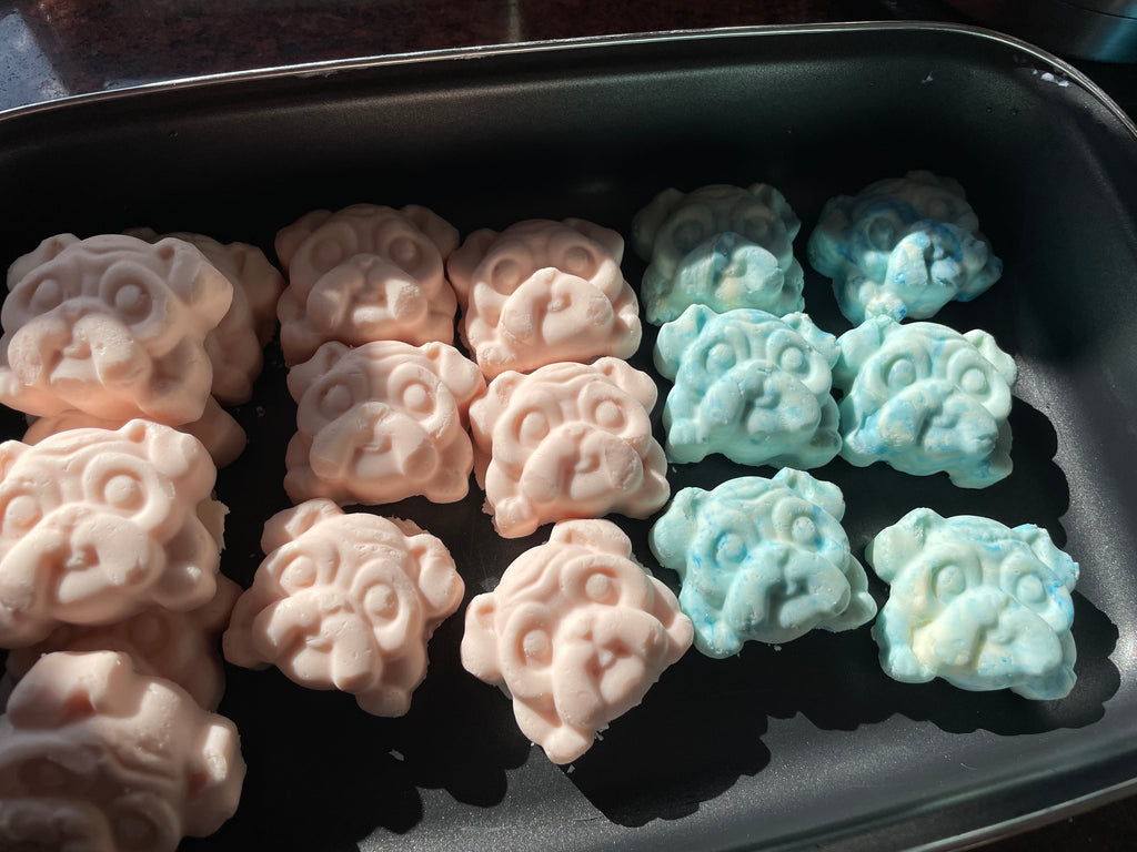 Honden Shampoo bar 2 stuks! In verschillende geuren