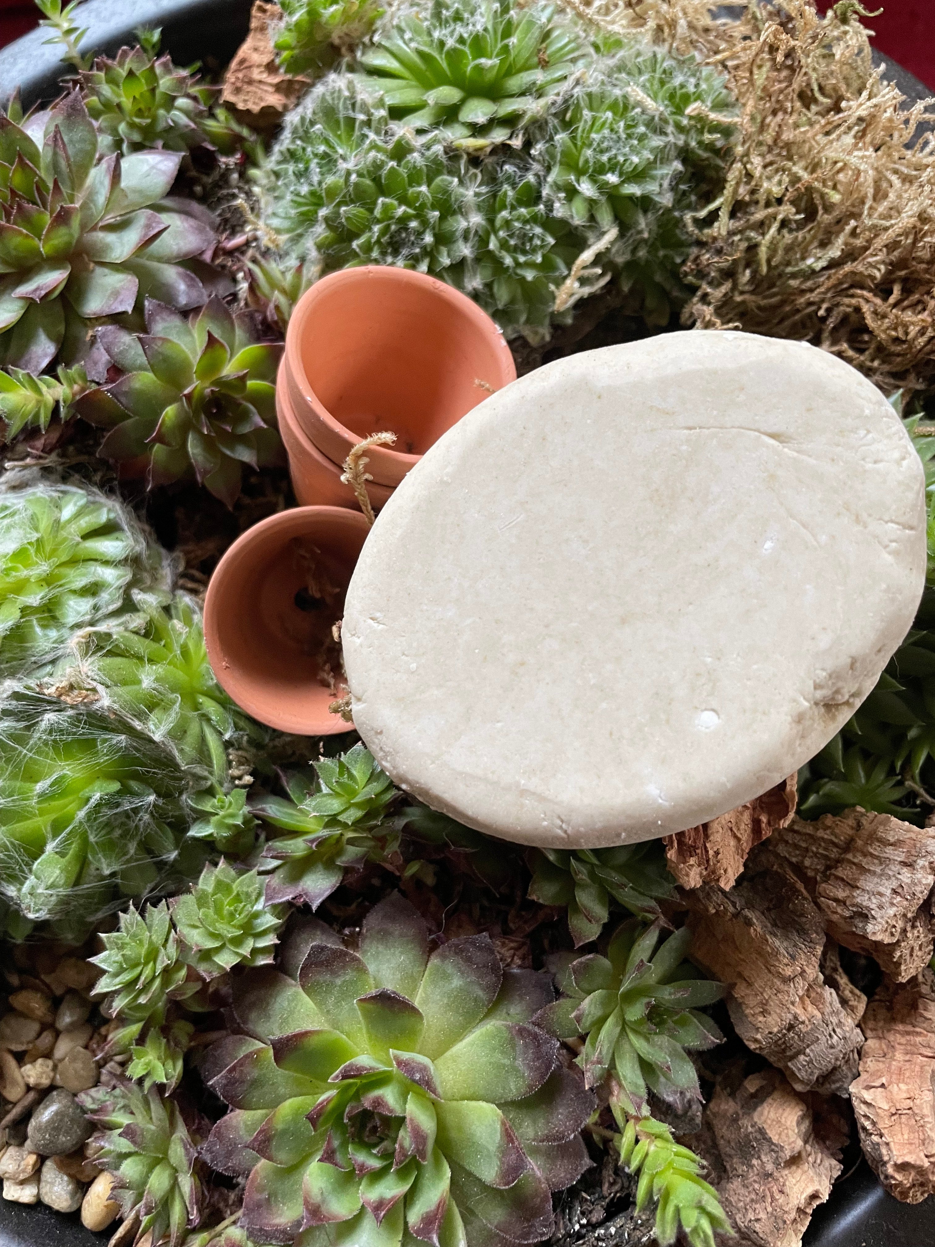 Shampoo Bar Kamille 100 gram