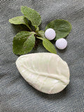 Shampoo Bar Pepermunt 100 gram