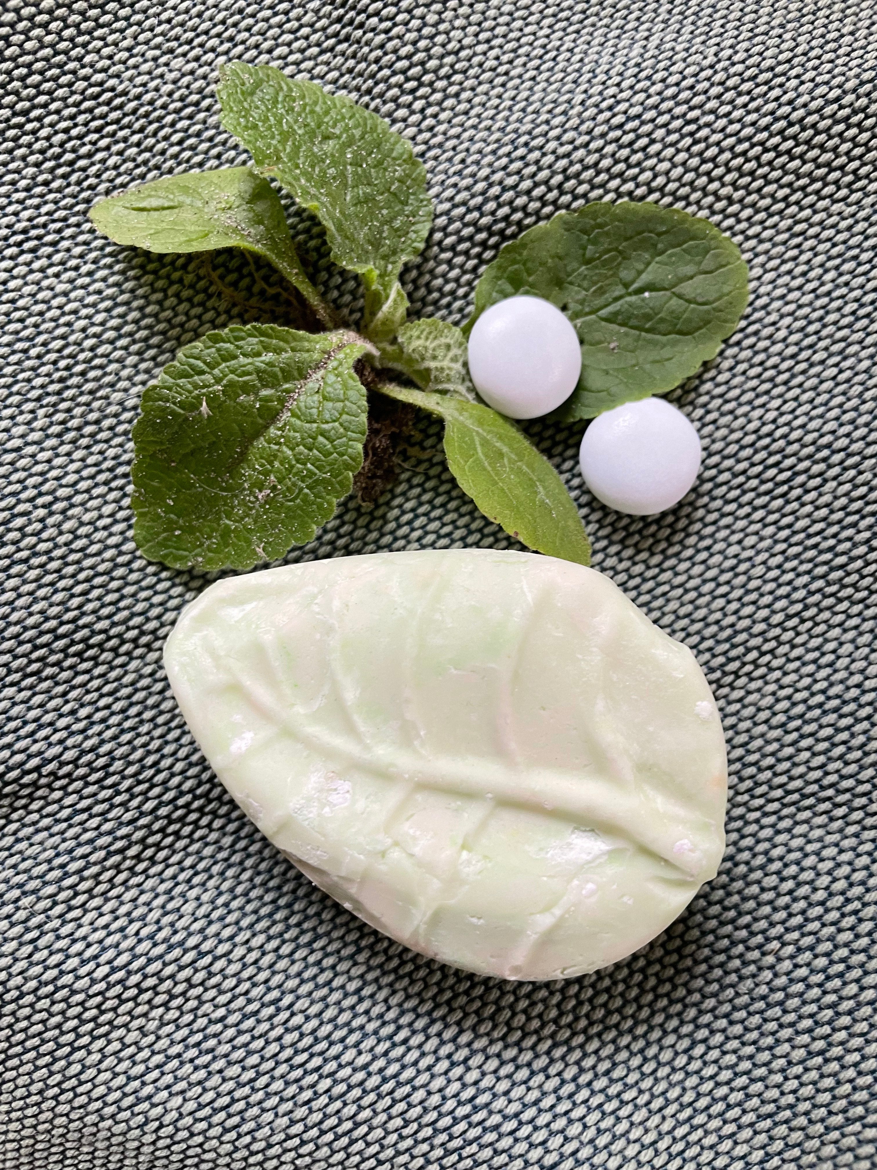 Shampoo Bar Pepermunt 100 gram