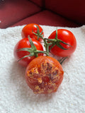 Tomatenzeep